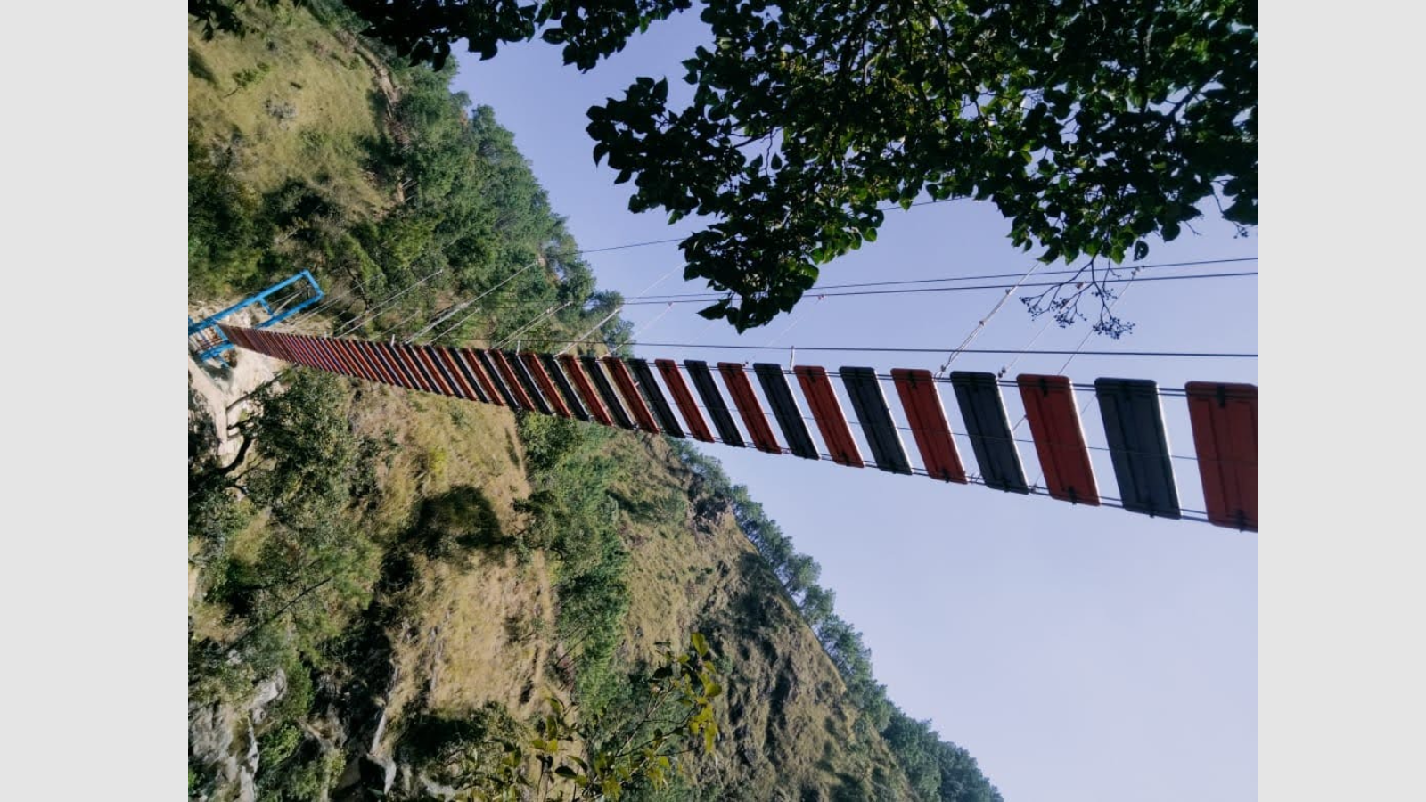 Canopy Walk and Burma Bridge