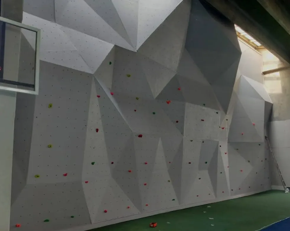 Indoor Climbing Wall for a premier Faridabad school
