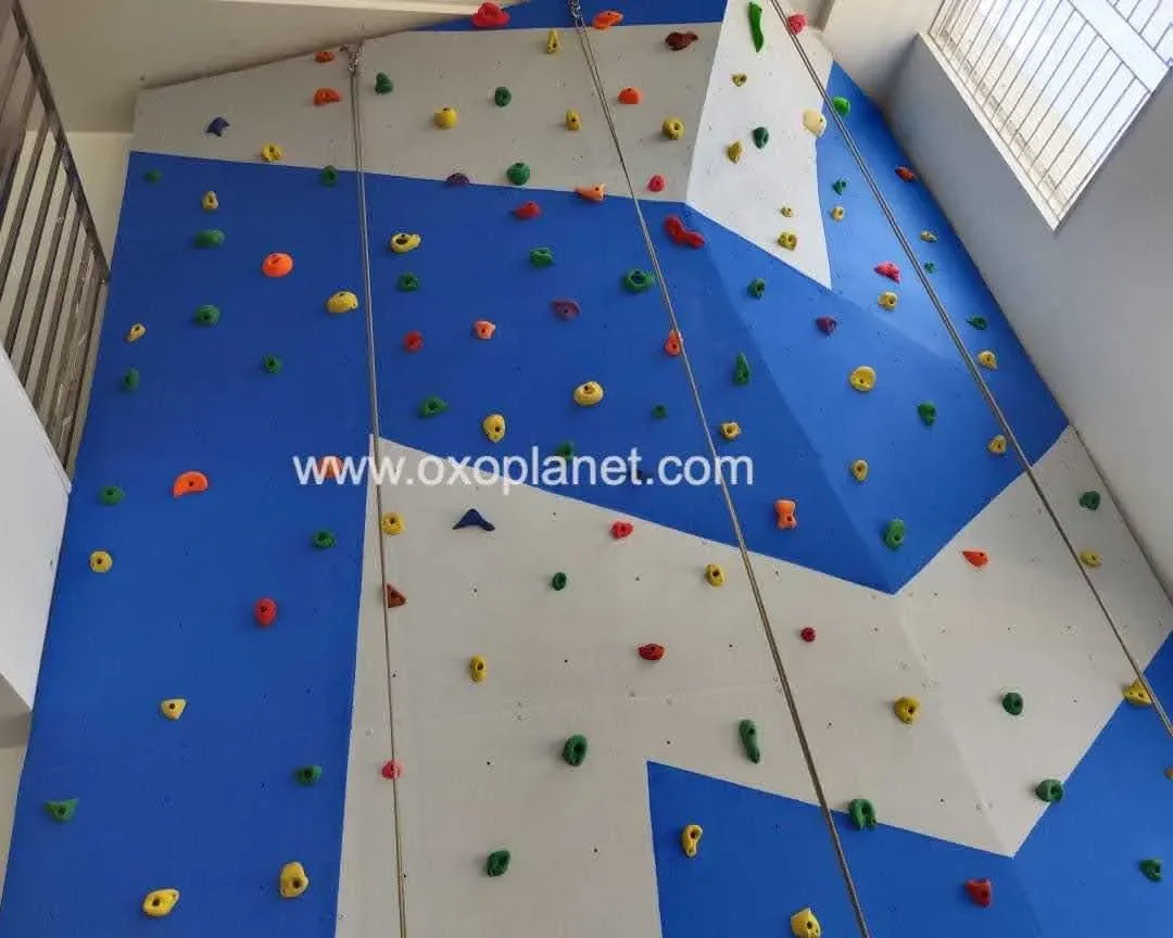 Indoor Climbing Wall for a school @ Andhra Pradesh