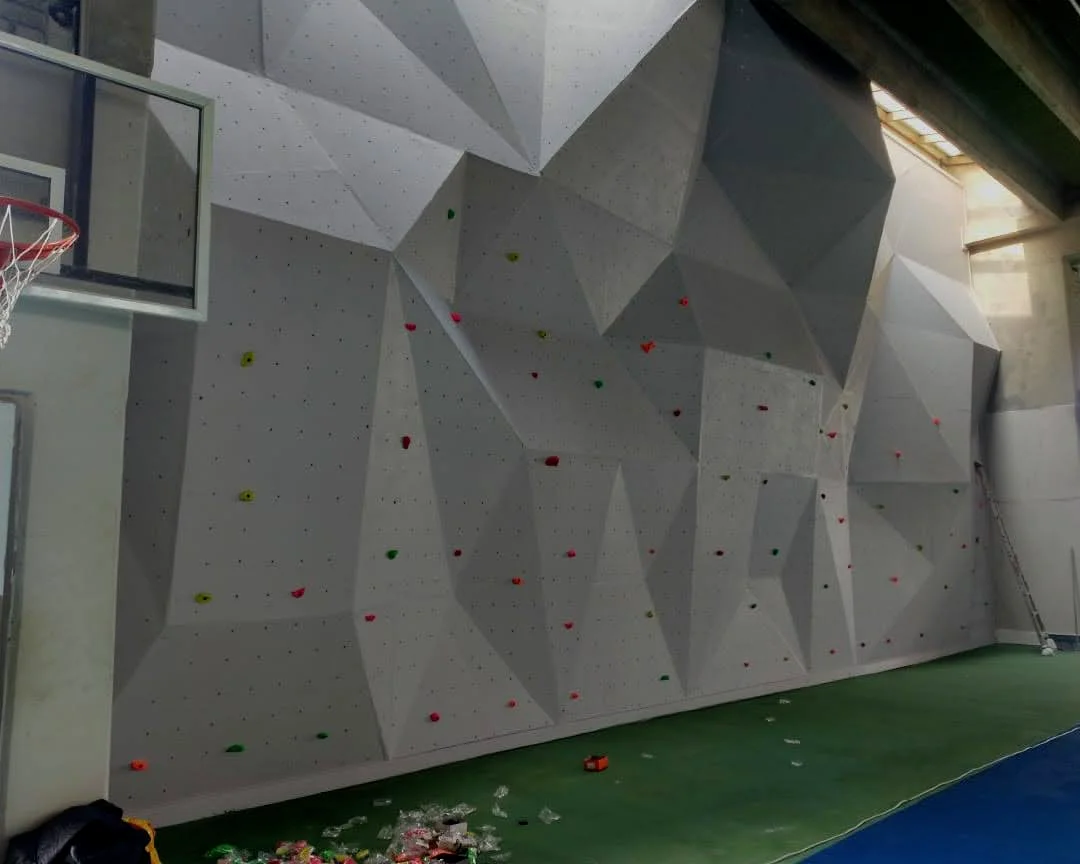 Article: All you need to know about building an artificial climbing wall